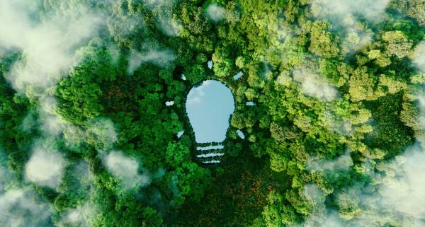 A bulb-shaped lake in the middle of a lush forest, symbolizing fresh ideas, inventiveness and creativity in relation to solving environmental problems